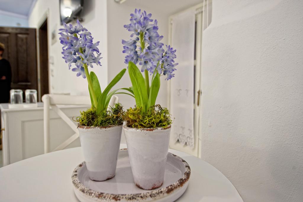 Orologopoulos Mansion Luxury Hotel Kastoria Pokój zdjęcie